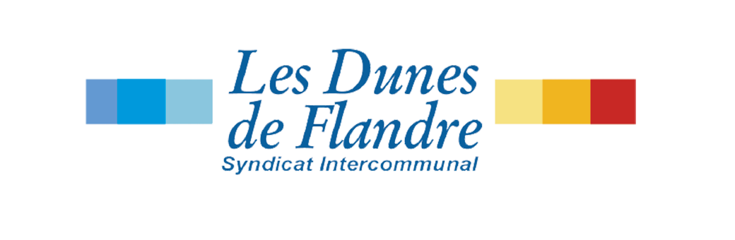 dunes